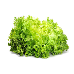ALFACE FRISÉE HIDROPÔNICA					